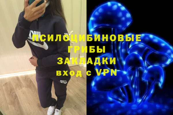 дживик Зерноград